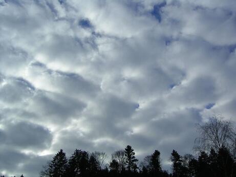 0401ltar-32ff-461x346.jpg