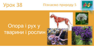 Опора і рух у  тварини і рослин "Пізнаємо природу" (авт. Коршевнюк Т.В.)