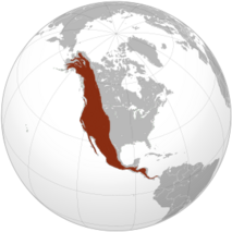 0401lza7-4f0b-213x213.png
