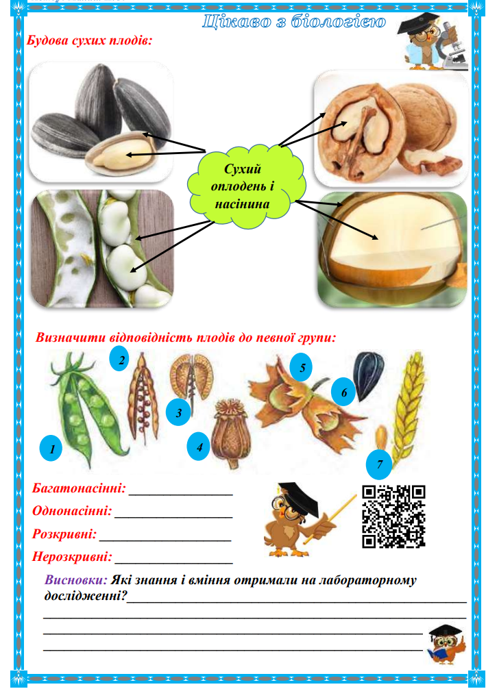 0401m0oh-25cc-709x1006.png