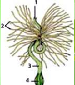 0401m2xz-d9c5-240x272.png