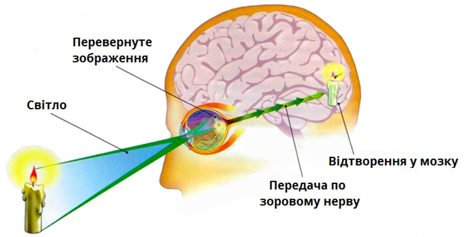 аналіз_зображення.png