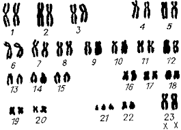 0401m44t-ecc4-265x191.png