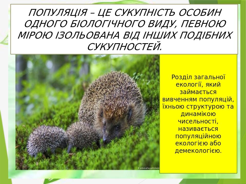 Розділ загальної екології, який займається вивченням популяцій, їхньою структурою та динамікою чисельності, називається популяційною екологією або ...