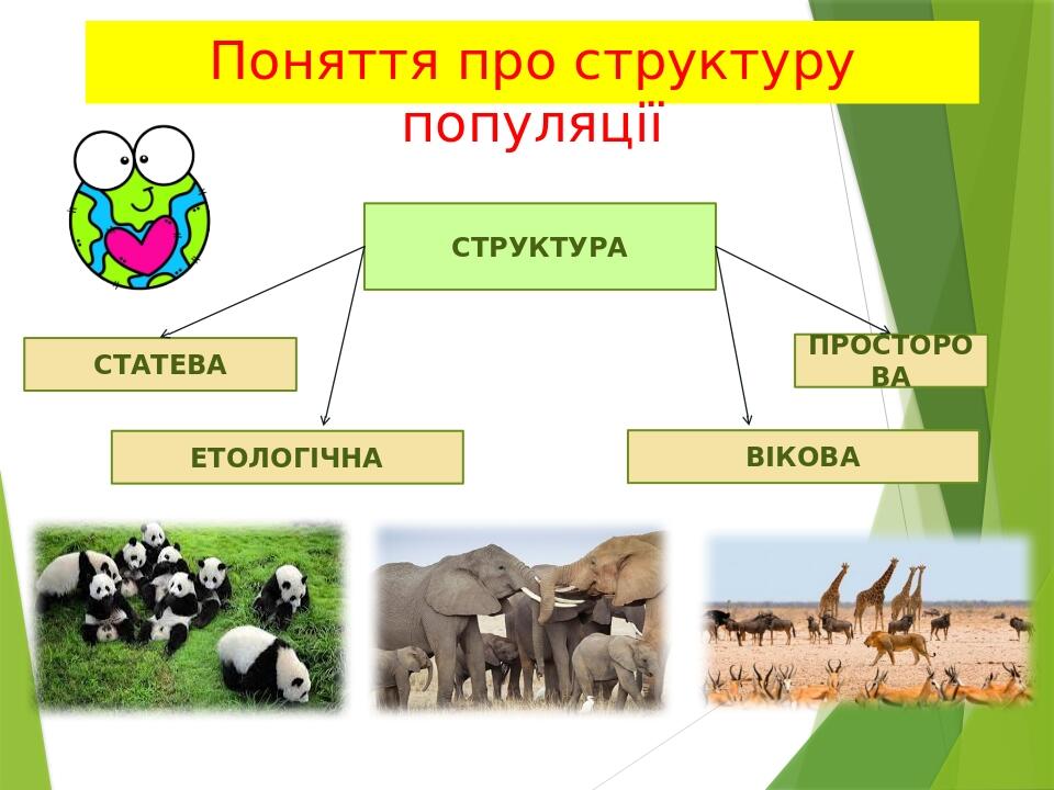 Поняття про структуру популяції СТРУКТУРА СТАТЕВА ЕТОЛОГІЧНА ВІКОВА ПРОСТОРОВА