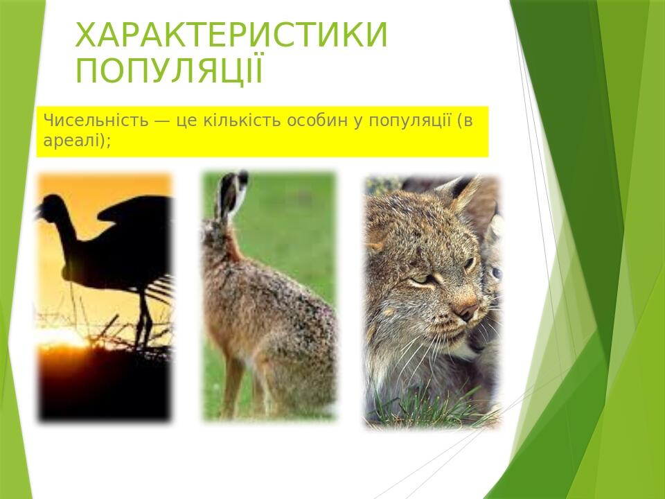 ХАРАКТЕРИСТИКИ ПОПУЛЯЦІЇ Чисельність — це кількість особин у популяції (в ареалі);