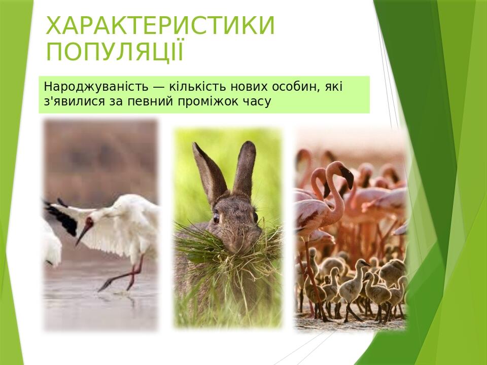 ХАРАКТЕРИСТИКИ ПОПУЛЯЦІЇ Народжуваність — кількість нових особин, які з'явилися за певний проміжок часу