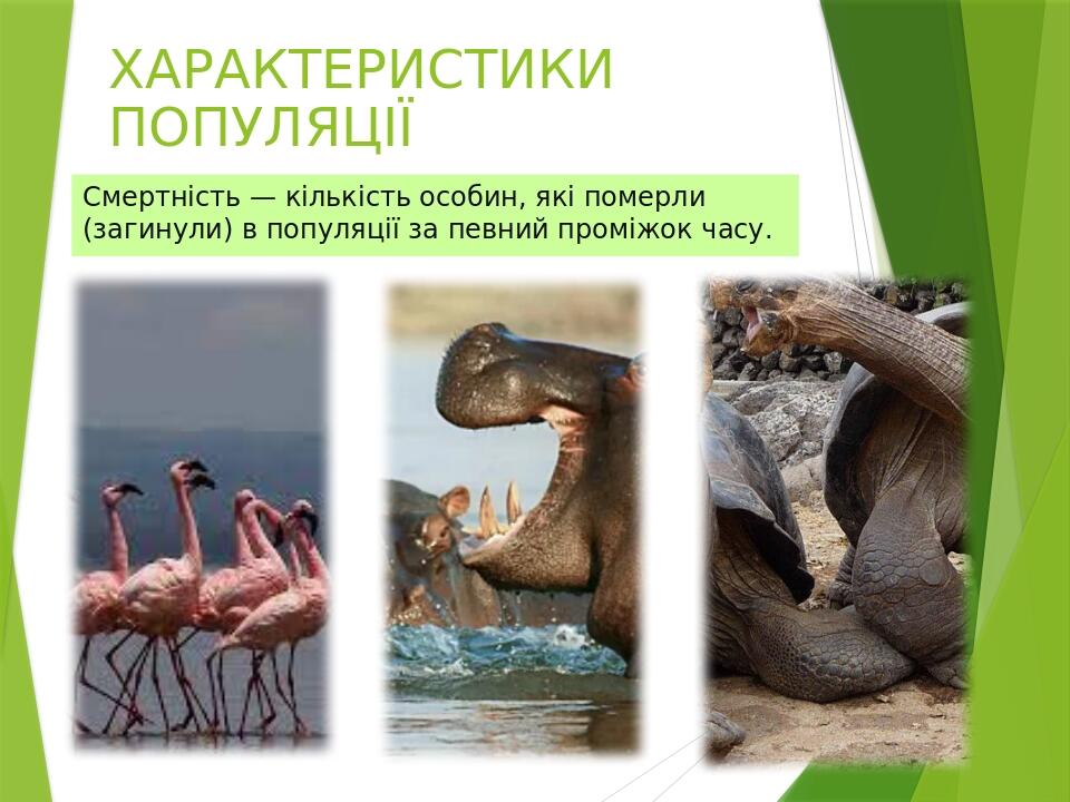 ХАРАКТЕРИСТИКИ ПОПУЛЯЦІЇ Смертність — кількість особин, які померли (загинули) в популяції за певний проміжок часу.