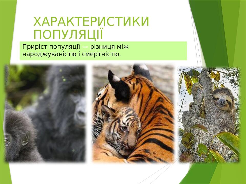 ХАРАКТЕРИСТИКИ ПОПУЛЯЦІЇ Приріст популяції — різниця між народжуваністю і смертністю.