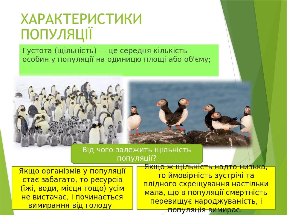 Густота (щільність) — це середня кількість особин у популяції на одиницю площі або об'єму; Від чого залежить щільність популяції? Якщо організмів у...