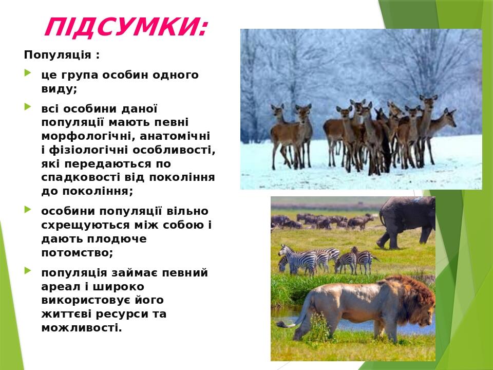ПІДСУМКИ: Популяція : це група особин одного виду; всі особини даної популяції мають певні морфологічні, анатомічні і фізіологічні особливості, які...