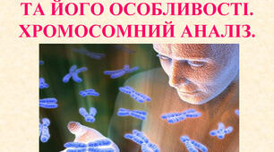 10 клас  Каріотип людини та його особливості 
