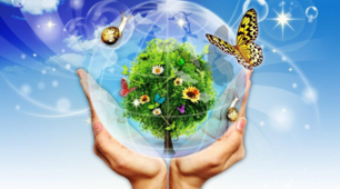 NATURE AND THE ENVIRONMENT 9 клас с.149 Vocabulary (до підручника О.Карп'юк)