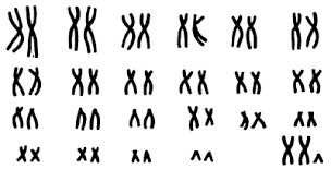 0401m6vu-509c-304x166.png