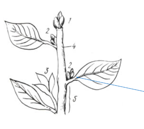 0401m9c6-6f69-460x413.png