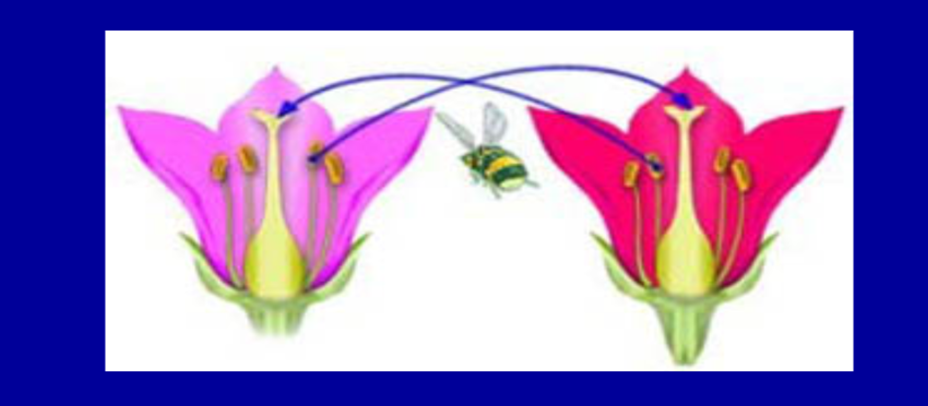 0401m9si-c6e5-928x406.png
