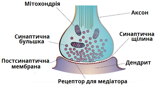 0401mc3f-4382-543x305.png