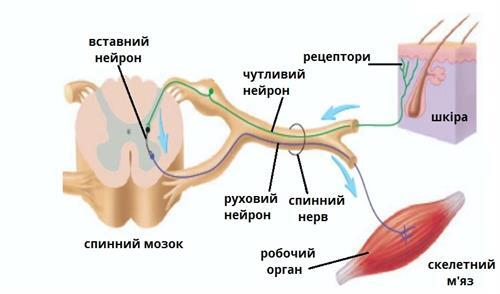 0401mc6y-985e-500x294.jpg