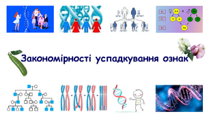 Закономірності успадкування ознак