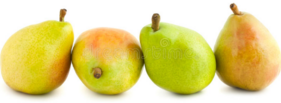 0401mei4-1297-281x103.png