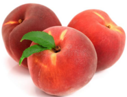 0401meov-8f82-174x133.png