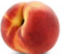 0401mepn-842e-137x120.png