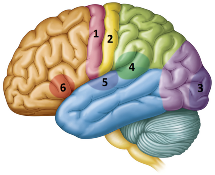0401mhi0-bddd-430x350.png