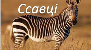Ссавці