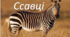 Ссавці