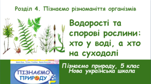 Водорості та спорові рослини: хто у воді, а хто на суходолі, 5 клас, НУШ