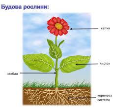 0401mlnw-0531-230x219.jpg
