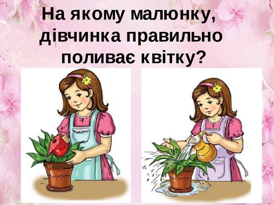 0401mlpl-58b8-940x705.jpg