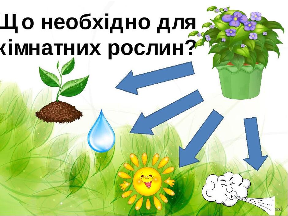0401mlsm-44a3-940x705.jpg
