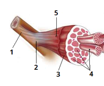 0401mmat-173e-205x170.png