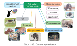 0401mmyl-abb9-270x162.png