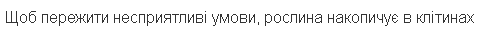 0401momk-7192-486x35.png