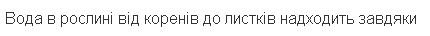 0401momw-0373-430x36.png