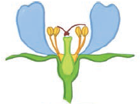 0401mrg0-8bd8-204x152.png