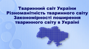 Різноманітність тваринного світу України, закономірності його поширення