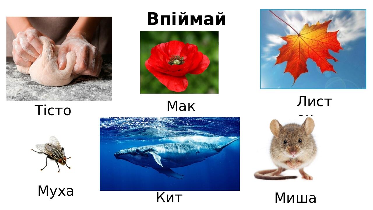 Звук Т частина 2 | Презентація. Спеціальна та інклюзивна освіта