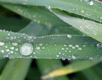 0401mwbu-5440-308x241.png