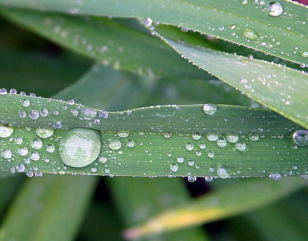 0401mwbu-5440-308x241.png