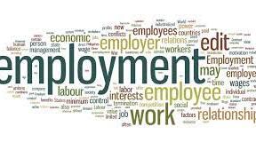 Employment and career - Unit 5.1 - Focus 5