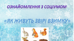 Ознайомлення з соціумом. Середня группа. "Як живуть звірі взимку"