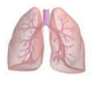 0401n1w5-57df-144x123.png