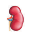 0401n1we-25d4-120x139.png