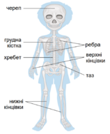 0401n2xc-7f44-158x192.png