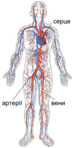 0401n2z0-4d08-153x299.png