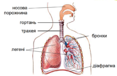 0401n30c-a235-230x151.png
