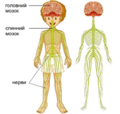0401n31h-df8e-174x166.png